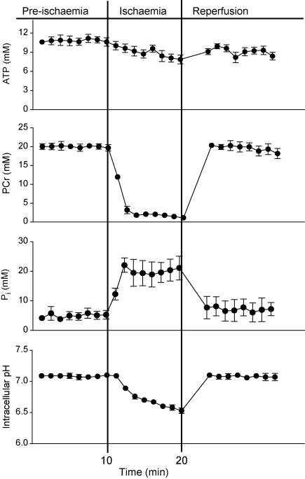 https://cdn.ncbi.nlm.nih.gov/pmc/blobs/3d33/2836261/3553e8d3de0d/cvp39602.jpg