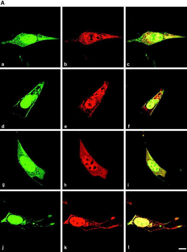 https://cdn.ncbi.nlm.nih.gov/pmc/blobs/3d34/2173119/0d243a0fc053/200203084f4a.jpg