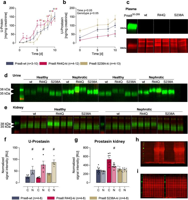 https://cdn.ncbi.nlm.nih.gov/pmc/blobs/3d36/9117342/a9172b0d8f21/424_2022_2682_Fig1_HTML.jpg