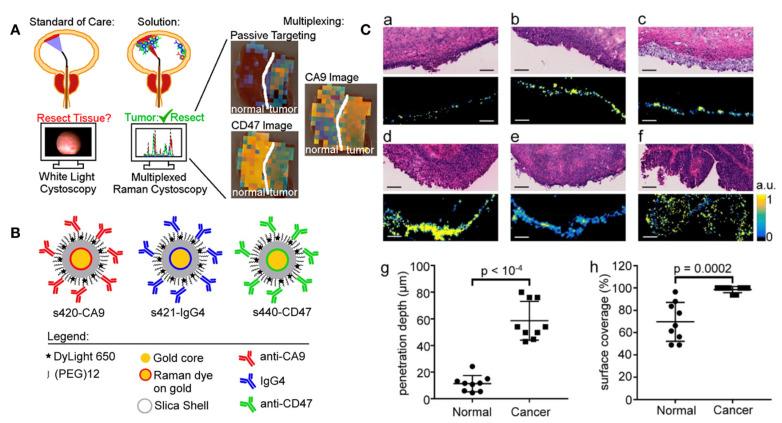 https://cdn.ncbi.nlm.nih.gov/pmc/blobs/3d36/9599190/1d8dbec0960c/biosensors-12-00796-g004.jpg