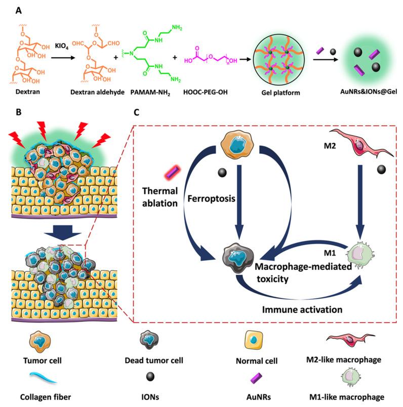https://cdn.ncbi.nlm.nih.gov/pmc/blobs/3d36/9599190/4e9a55cce1ea/biosensors-12-00796-g007.jpg