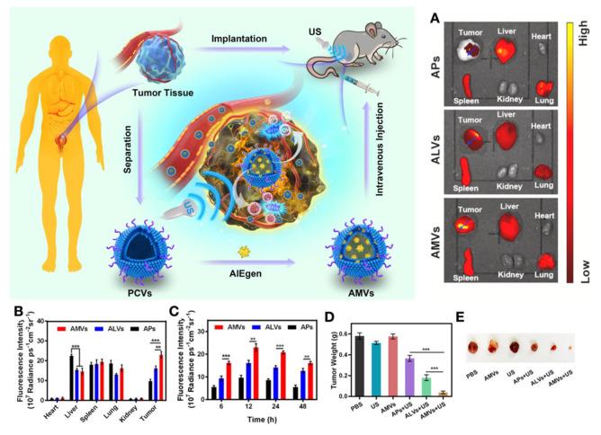 https://cdn.ncbi.nlm.nih.gov/pmc/blobs/3d36/9599190/871a128b0f2b/biosensors-12-00796-g008.jpg