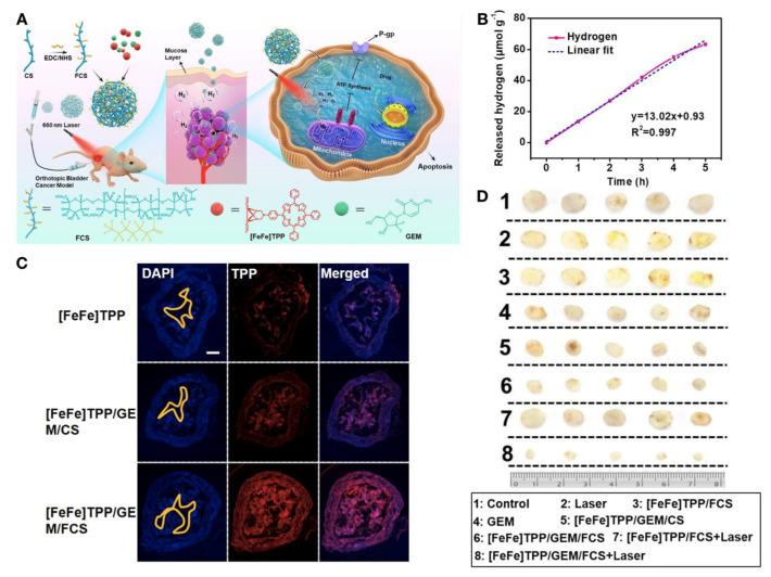 https://cdn.ncbi.nlm.nih.gov/pmc/blobs/3d36/9599190/d0298674d55c/biosensors-12-00796-g005.jpg