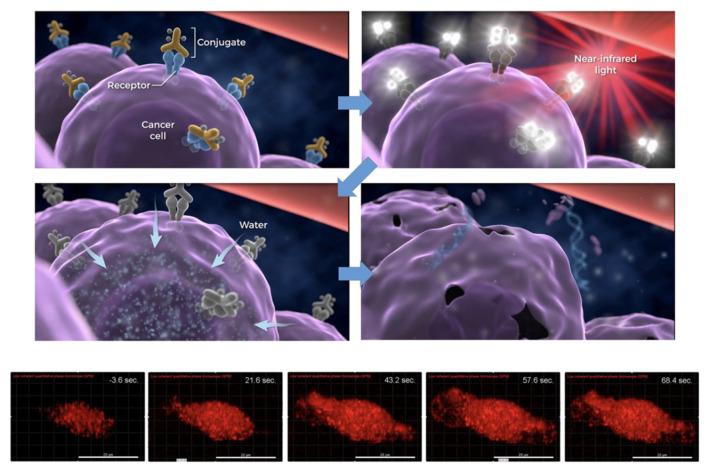 https://cdn.ncbi.nlm.nih.gov/pmc/blobs/3d36/9599190/da6c6e5efdba/biosensors-12-00796-g006.jpg