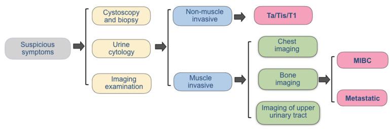 https://cdn.ncbi.nlm.nih.gov/pmc/blobs/3d36/9599190/f819e0f6e979/biosensors-12-00796-g002.jpg