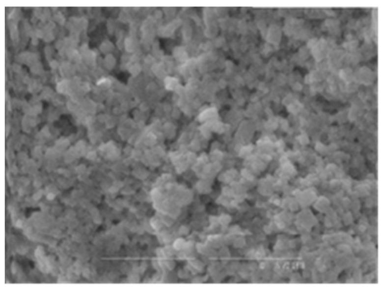 https://cdn.ncbi.nlm.nih.gov/pmc/blobs/3d37/10780585/78dc3c33744b/polymers-16-00069-g001.jpg