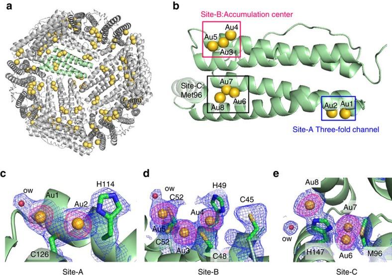 https://cdn.ncbi.nlm.nih.gov/pmc/blobs/3d37/5357307/763109927a8d/ncomms14820-f2.jpg