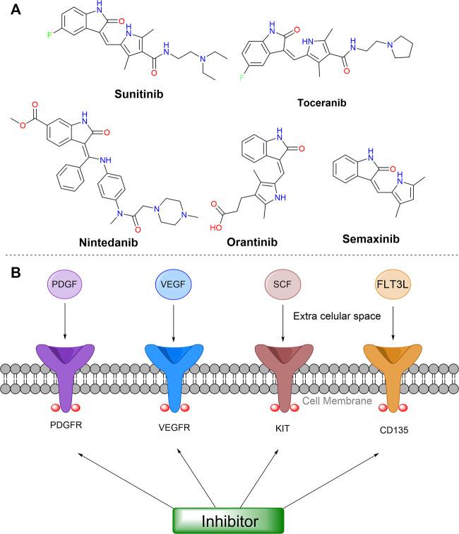 https://cdn.ncbi.nlm.nih.gov/pmc/blobs/3d39/7889591/e913866fb412/fmolb-07-627272-g006.jpg