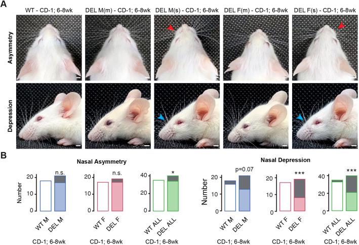 https://cdn.ncbi.nlm.nih.gov/pmc/blobs/3d3b/10655816/d798a2d7f185/dmm-15-049752-g5.jpg