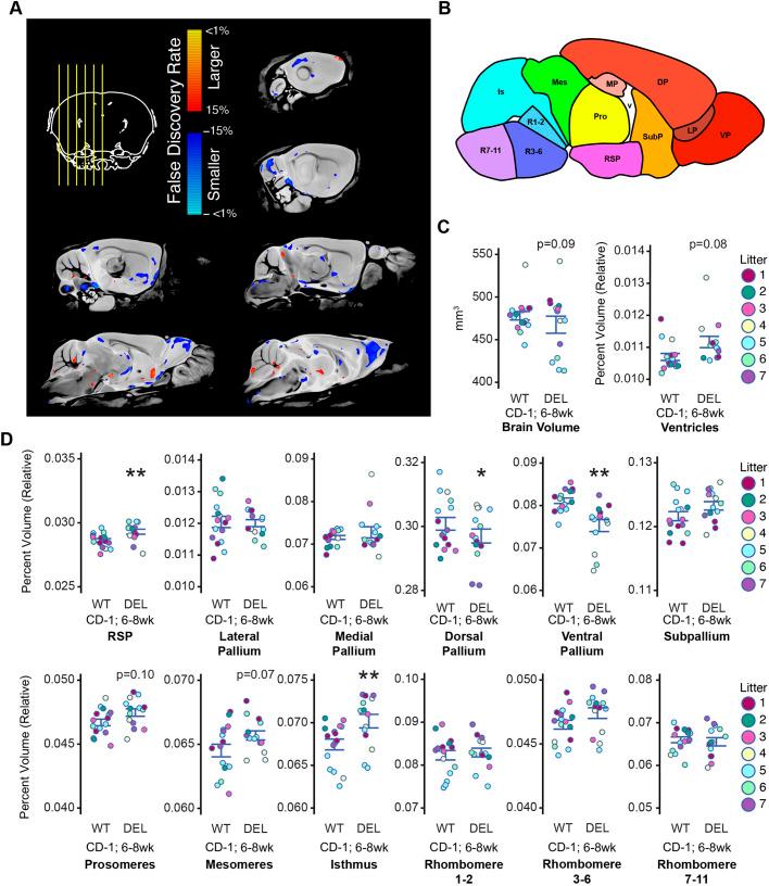 https://cdn.ncbi.nlm.nih.gov/pmc/blobs/3d3b/10655816/de05fd8e50e2/dmm-15-049752-g6.jpg