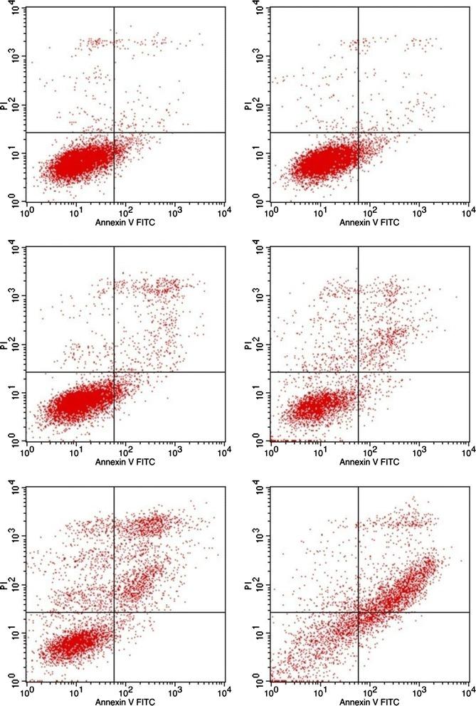 https://cdn.ncbi.nlm.nih.gov/pmc/blobs/3d3d/4962484/3c1506cded13/12906_2016_1249_Fig5_HTML.jpg
