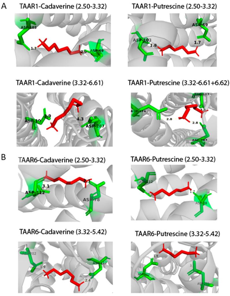 https://cdn.ncbi.nlm.nih.gov/pmc/blobs/3d3d/8745718/fb8956d33c9b/ijms-23-00209-g007.jpg