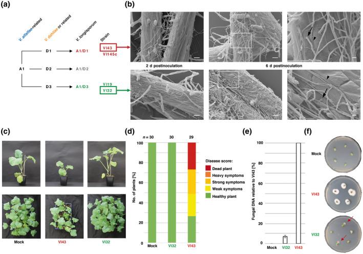https://cdn.ncbi.nlm.nih.gov/pmc/blobs/3d3e/8295516/d708c6f3b9bf/MPP-22-939-g004.jpg
