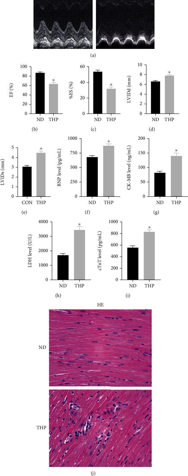 https://cdn.ncbi.nlm.nih.gov/pmc/blobs/3d45/9883094/56327092f2ea/OMCL2023-7872193.002.jpg