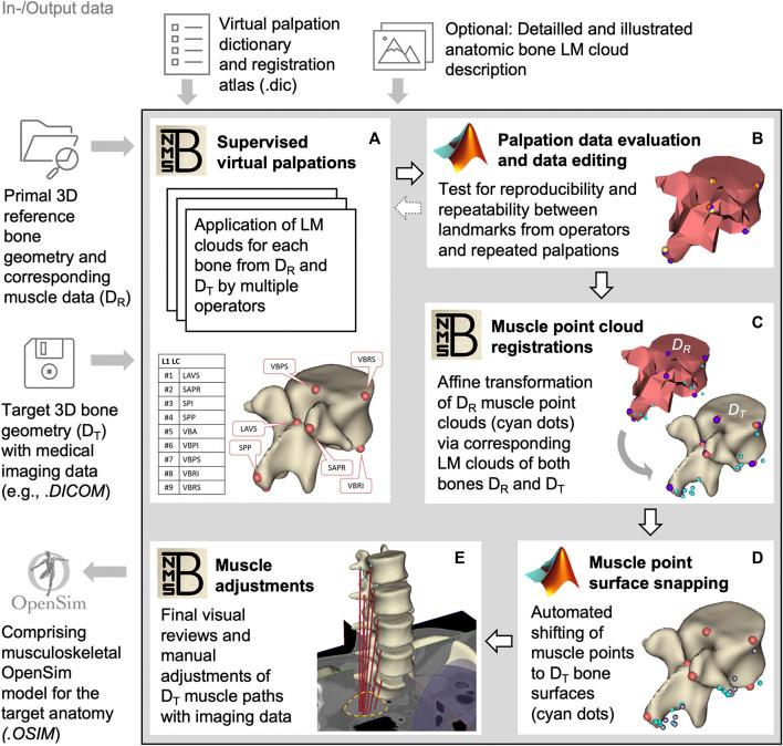 https://cdn.ncbi.nlm.nih.gov/pmc/blobs/3d47/10565495/071933e7b315/fbioe-11-1223007-g002.jpg