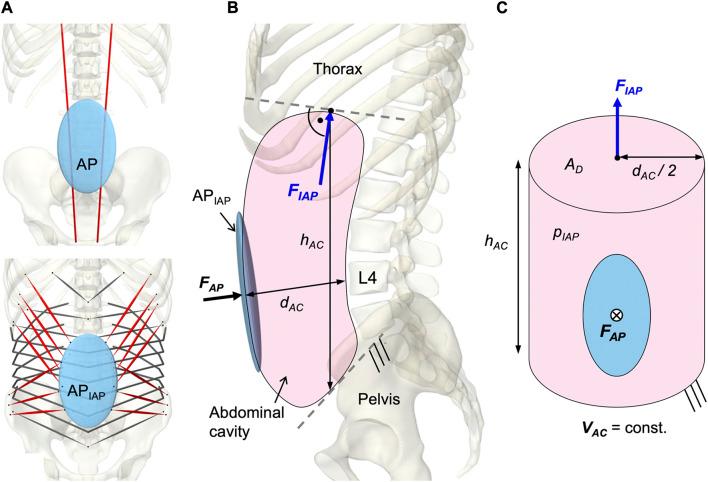 https://cdn.ncbi.nlm.nih.gov/pmc/blobs/3d47/10565495/0cd49a327db7/fbioe-11-1223007-g006.jpg