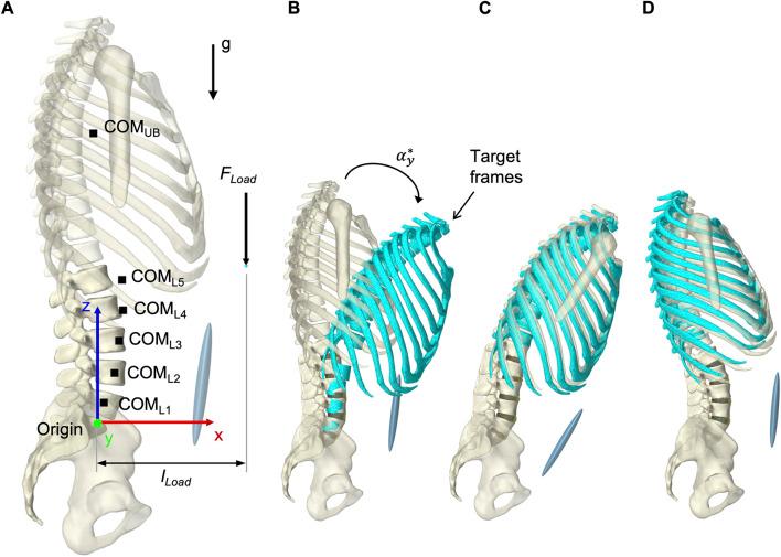 https://cdn.ncbi.nlm.nih.gov/pmc/blobs/3d47/10565495/9e3e05bccf6d/fbioe-11-1223007-g007.jpg