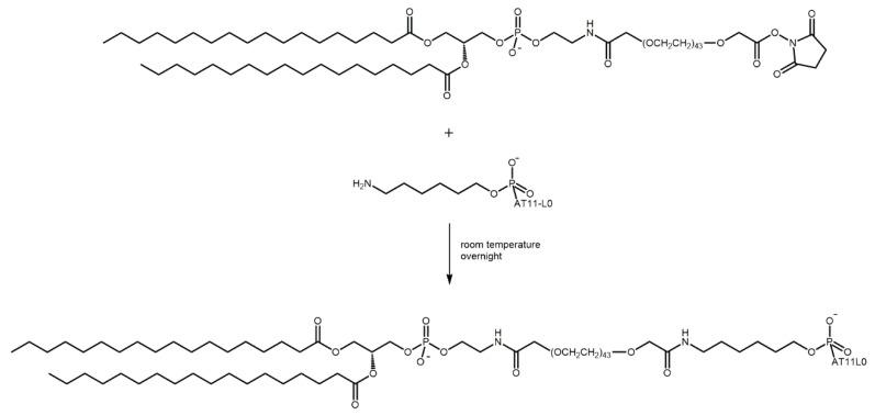 https://cdn.ncbi.nlm.nih.gov/pmc/blobs/3d48/10221175/812be31879ab/pharmaceuticals-16-00751-g005.jpg