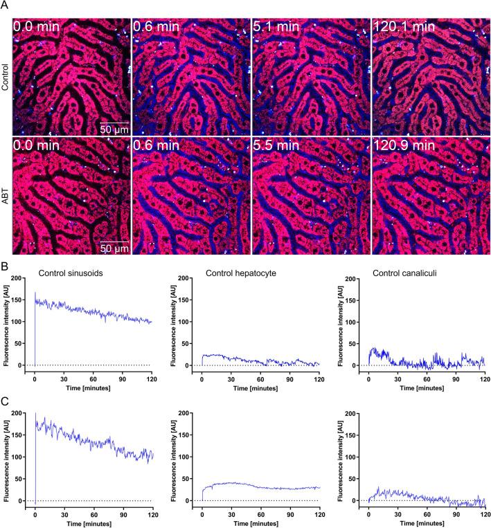 https://cdn.ncbi.nlm.nih.gov/pmc/blobs/3d4b/9584869/01c8b9242f23/204_2022_3395_Fig7_HTML.jpg