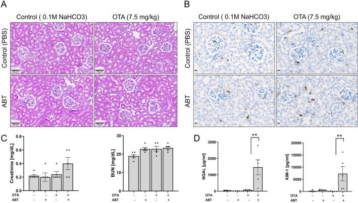 https://cdn.ncbi.nlm.nih.gov/pmc/blobs/3d4b/9584869/69faeecae959/204_2022_3395_Fig5_HTML.jpg