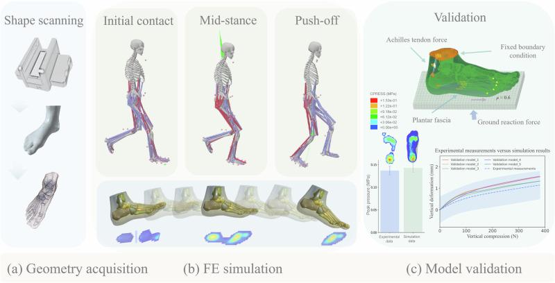 https://cdn.ncbi.nlm.nih.gov/pmc/blobs/3d4d/12075602/371b04b1728e/41746_2025_1677_Fig6_HTML.jpg
