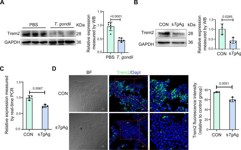 https://cdn.ncbi.nlm.nih.gov/pmc/blobs/3d4e/12210541/6d12fbf888f1/13071_2025_6894_Fig1_HTML.jpg