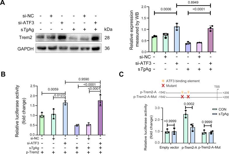 https://cdn.ncbi.nlm.nih.gov/pmc/blobs/3d4e/12210541/a811e0f9f569/13071_2025_6894_Fig4_HTML.jpg
