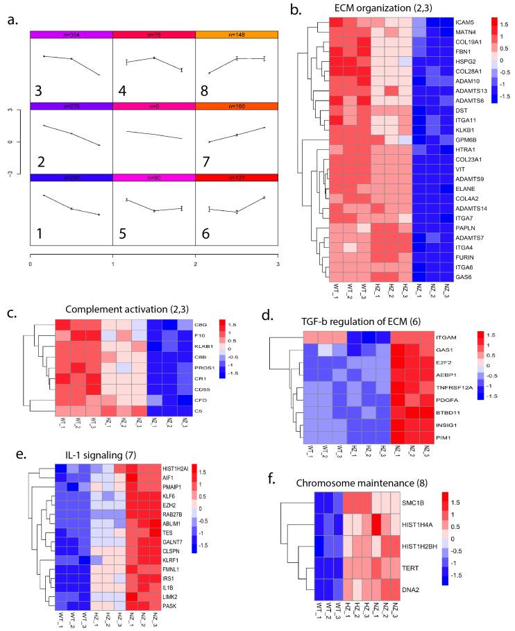 https://cdn.ncbi.nlm.nih.gov/pmc/blobs/3d50/11154428/f8af7f78bb99/cells-13-00588-g009.jpg