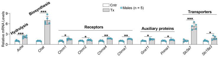https://cdn.ncbi.nlm.nih.gov/pmc/blobs/3d51/9317559/5e9b2e1d2e5c/ijms-23-07669-g006.jpg