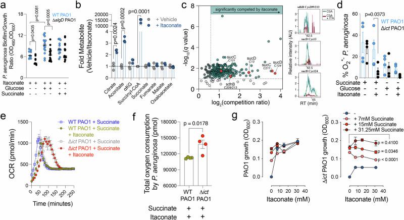https://cdn.ncbi.nlm.nih.gov/pmc/blobs/3d52/12009439/06bdc92fce90/41467_2025_59134_Fig2_HTML.jpg