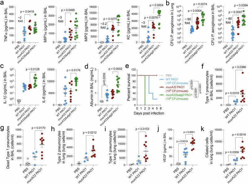 https://cdn.ncbi.nlm.nih.gov/pmc/blobs/3d52/12009439/381850b8b9a8/41467_2025_59134_Fig6_HTML.jpg