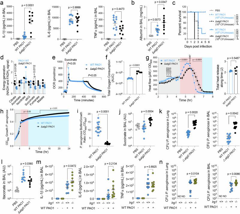 https://cdn.ncbi.nlm.nih.gov/pmc/blobs/3d52/12009439/684591c60126/41467_2025_59134_Fig1_HTML.jpg