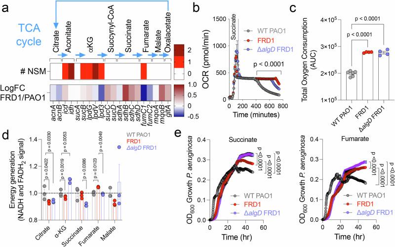 https://cdn.ncbi.nlm.nih.gov/pmc/blobs/3d52/12009439/bb0aa56b0c1f/41467_2025_59134_Fig8_HTML.jpg
