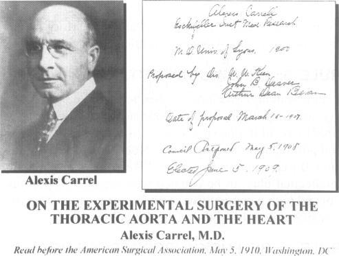 https://cdn.ncbi.nlm.nih.gov/pmc/blobs/3d53/1191012/d1ffc303d806/annsurg00019-0018-b.jpg