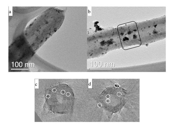 https://cdn.ncbi.nlm.nih.gov/pmc/blobs/3d53/3311096/8f4240685f4f/1556-276X-7-165-9.jpg