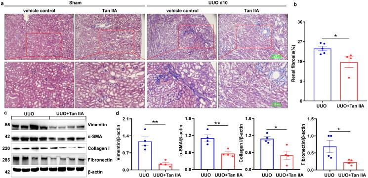 https://cdn.ncbi.nlm.nih.gov/pmc/blobs/3d55/12064128/aa24b6c8bcc7/IPHB_A_2498166_F0001_C.jpg
