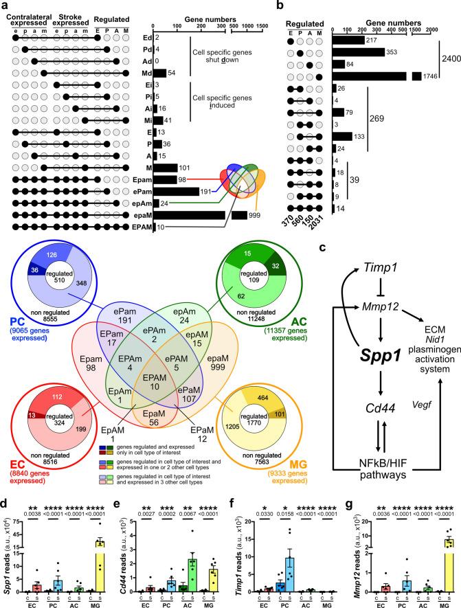 https://cdn.ncbi.nlm.nih.gov/pmc/blobs/3d56/9288377/da2c415fe025/401_2022_2452_Fig3_HTML.jpg