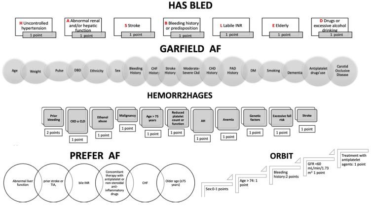 https://cdn.ncbi.nlm.nih.gov/pmc/blobs/3d57/11172442/aa22a4ae702a/jcm-13-03076-g003.jpg