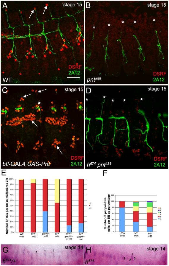 https://cdn.ncbi.nlm.nih.gov/pmc/blobs/3d5b/2994725/a7c893a7ea90/pone.0014134.g005.jpg