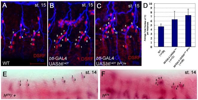 https://cdn.ncbi.nlm.nih.gov/pmc/blobs/3d5b/2994725/c7146982ef53/pone.0014134.g006.jpg