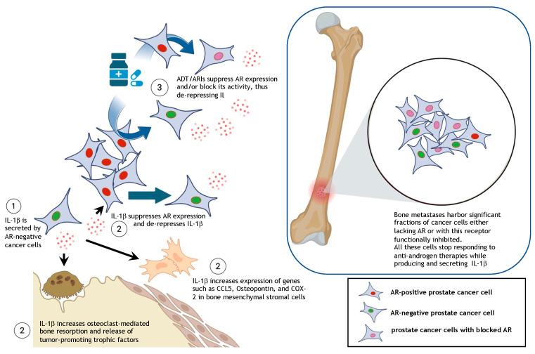 https://cdn.ncbi.nlm.nih.gov/pmc/blobs/3d5c/11763358/1d85fe2573e2/cancers-17-00290-g001.jpg