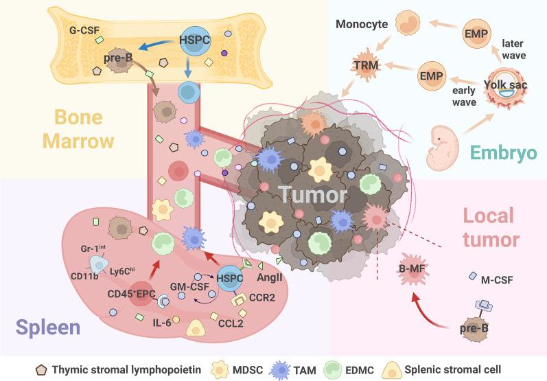 https://cdn.ncbi.nlm.nih.gov/pmc/blobs/3d5d/10324139/01b5a56dd3e4/13045_2023_1473_Fig3_HTML.jpg