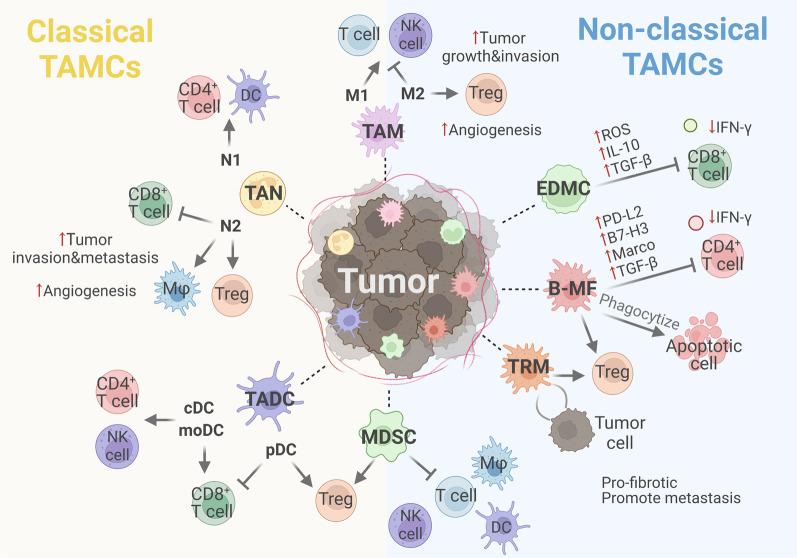 https://cdn.ncbi.nlm.nih.gov/pmc/blobs/3d5d/10324139/bf8d337e6929/13045_2023_1473_Fig4_HTML.jpg