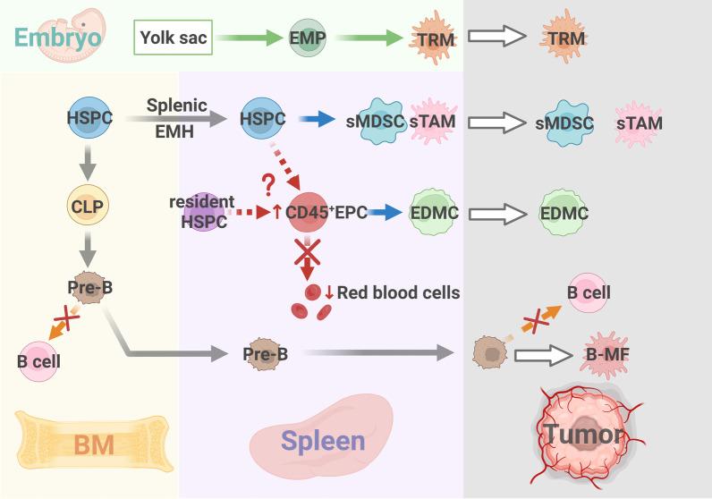 https://cdn.ncbi.nlm.nih.gov/pmc/blobs/3d5d/10324139/f708e14cdf5b/13045_2023_1473_Fig2_HTML.jpg