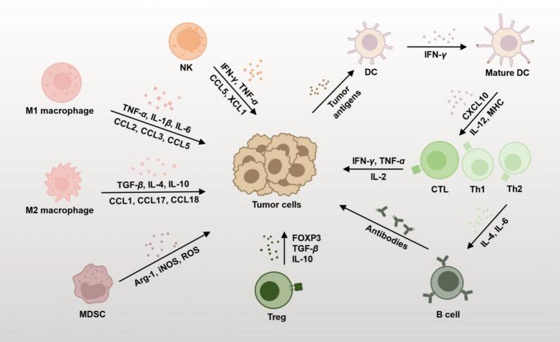 https://cdn.ncbi.nlm.nih.gov/pmc/blobs/3d5d/12085060/6813bc5d5adb/12951_2025_3378_Fig2_HTML.jpg