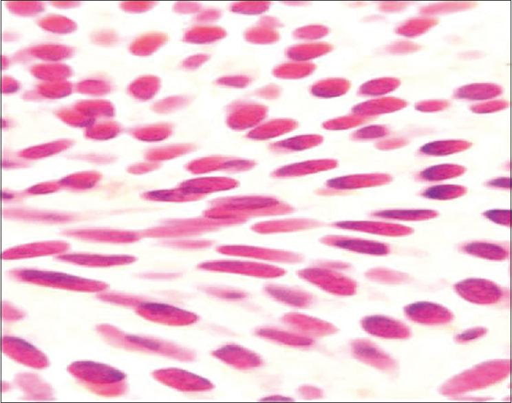 https://cdn.ncbi.nlm.nih.gov/pmc/blobs/3d5f/10112092/f175d7999904/JOMFP-26-488-g007.jpg