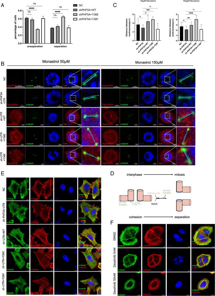 https://cdn.ncbi.nlm.nih.gov/pmc/blobs/3d5f/9911754/cb63fde3cd8b/41419_2023_5561_Fig5_HTML.jpg