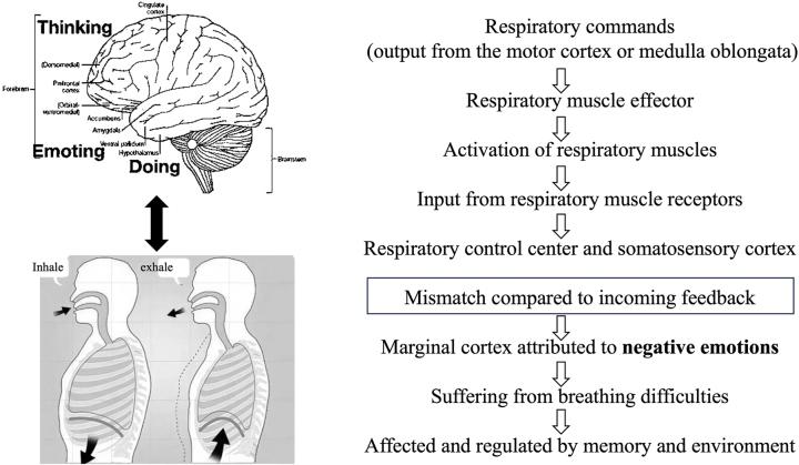 https://cdn.ncbi.nlm.nih.gov/pmc/blobs/3d61/11495473/a8500c40be6f/j_mr-2024-0006_fig_004.jpg