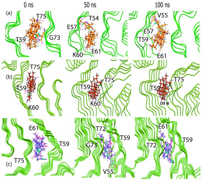 https://cdn.ncbi.nlm.nih.gov/pmc/blobs/3d63/11852371/24bee4c13d3d/biomimetics-10-00082-g005.jpg