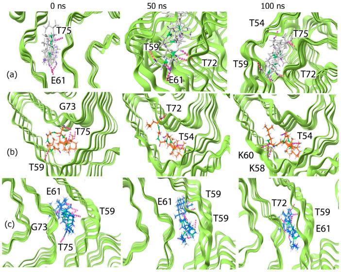 https://cdn.ncbi.nlm.nih.gov/pmc/blobs/3d63/11852371/a5d2117a31f7/biomimetics-10-00082-g004.jpg
